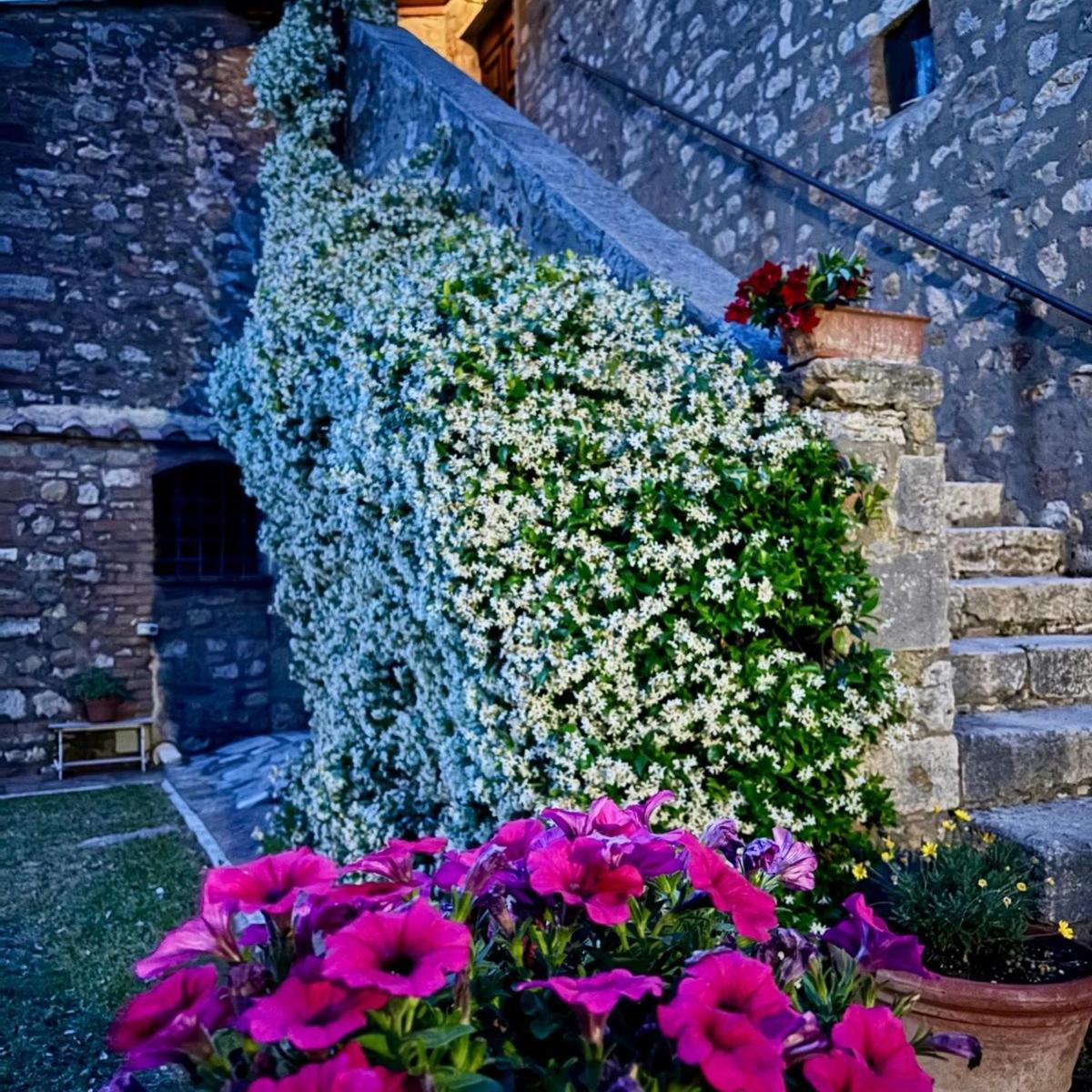 Residenza Santa Maria In Borraccia Bed & Breakfast Magliano in Toscana Exterior photo