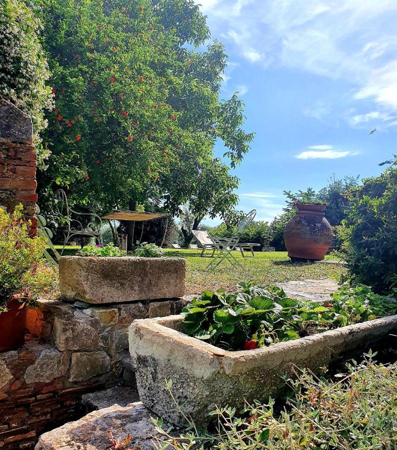 Residenza Santa Maria In Borraccia Bed & Breakfast Magliano in Toscana Exterior photo